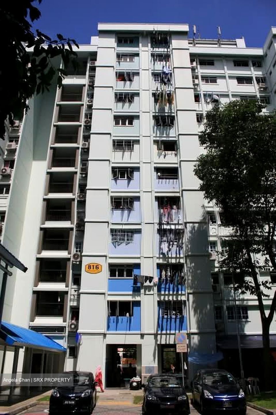 Blk 816 Woodlands Street 82 (Woodlands), HDB Executive #591916011